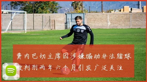 费内巴切主席因涉嫌煽动非法赌球被判刑两年六个月引发广泛关注