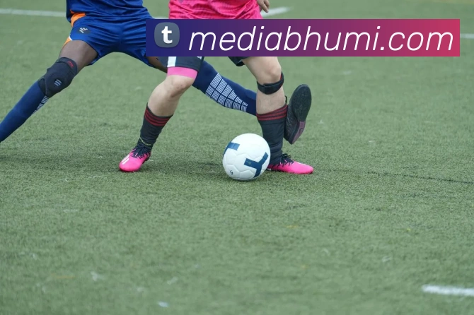 奖项证书